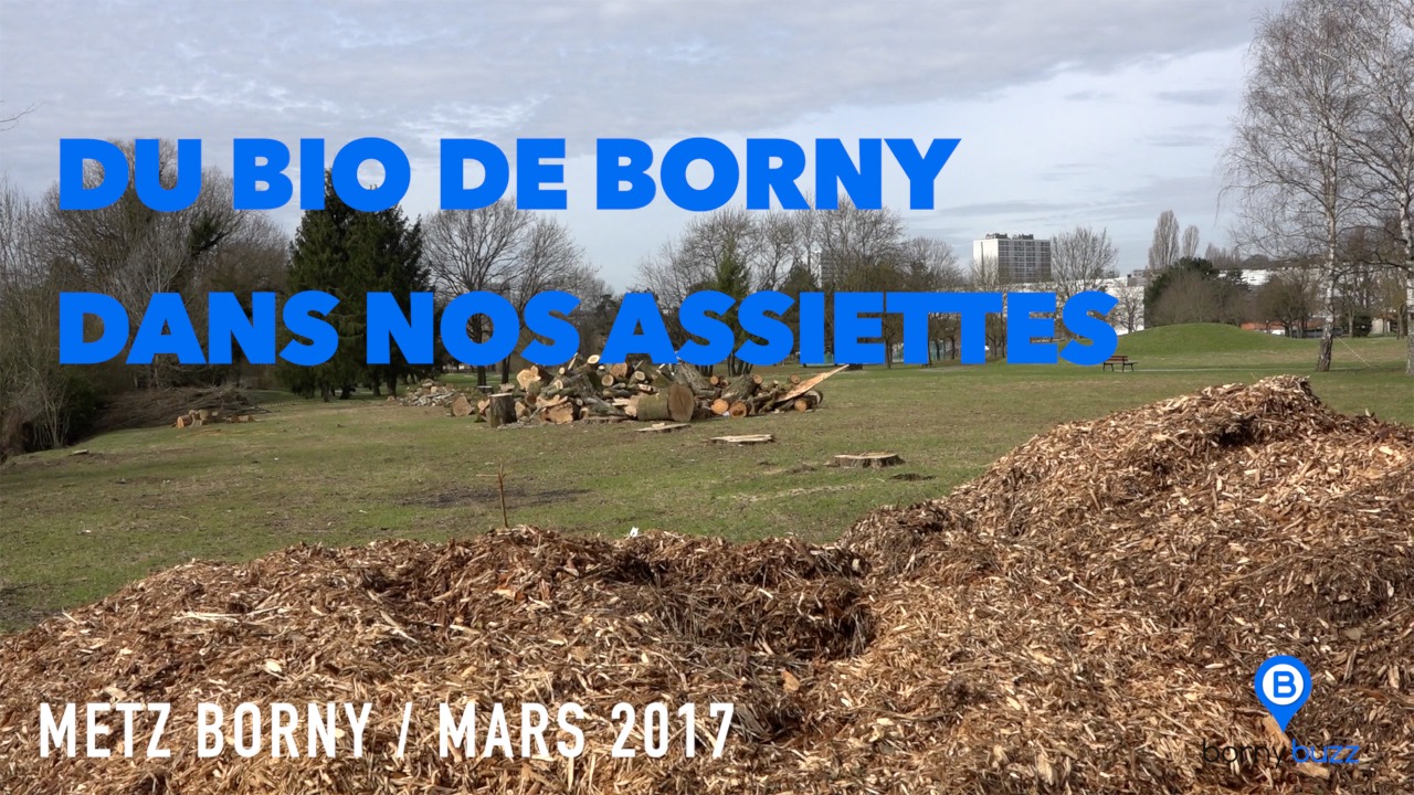 Du Bio de Borny dans nos assiettes