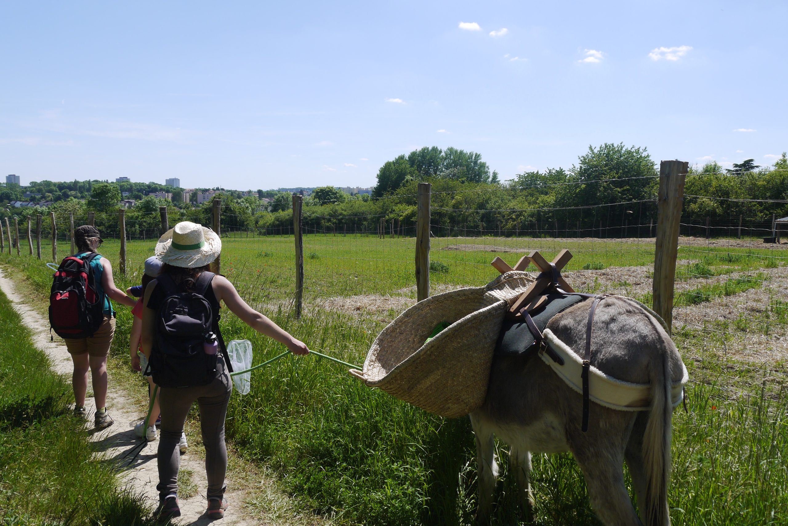 À Vallières, l’âne nous emmène en balade