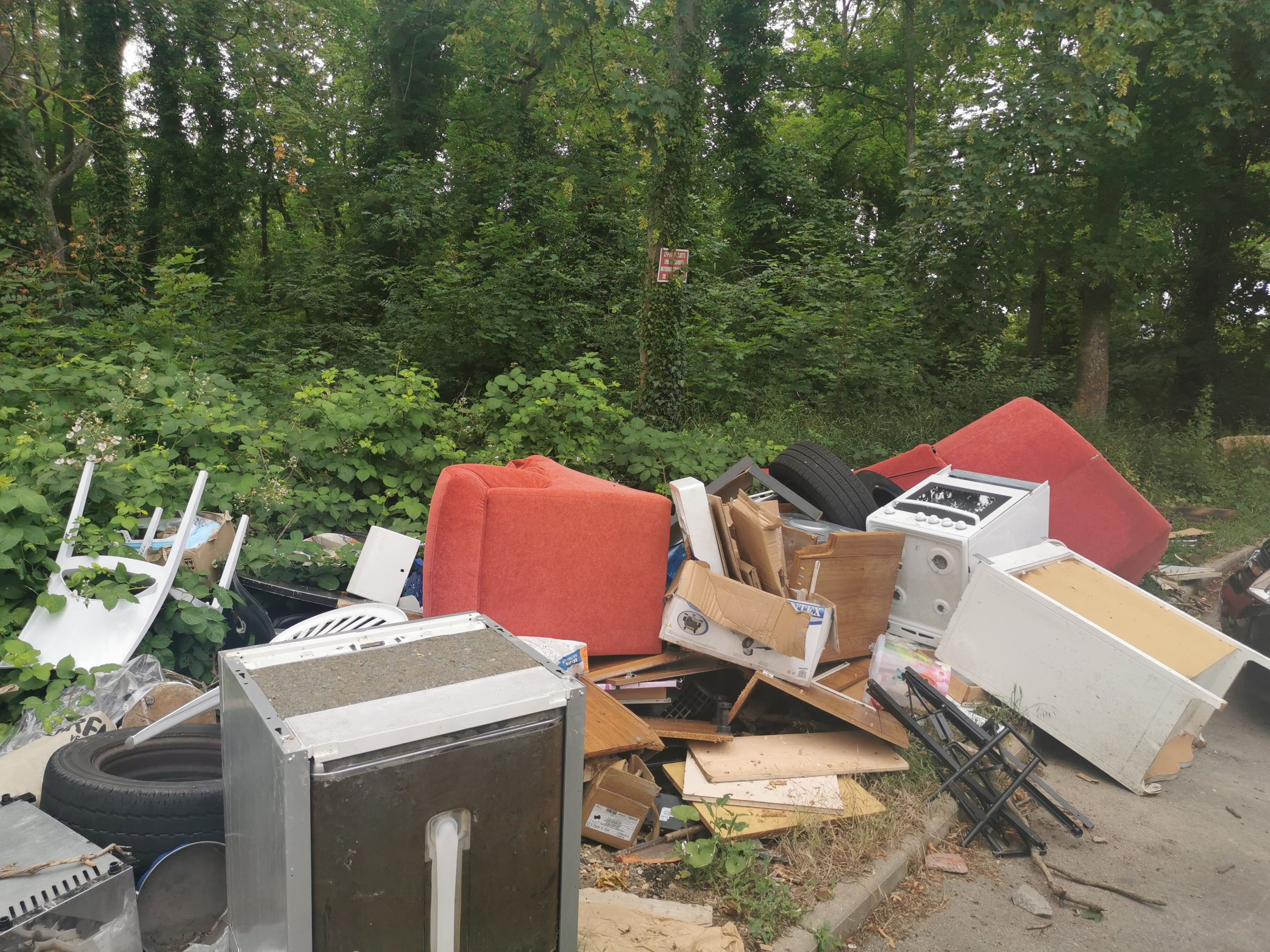 « Nettoie ton quartier » avec La Courte Échelle