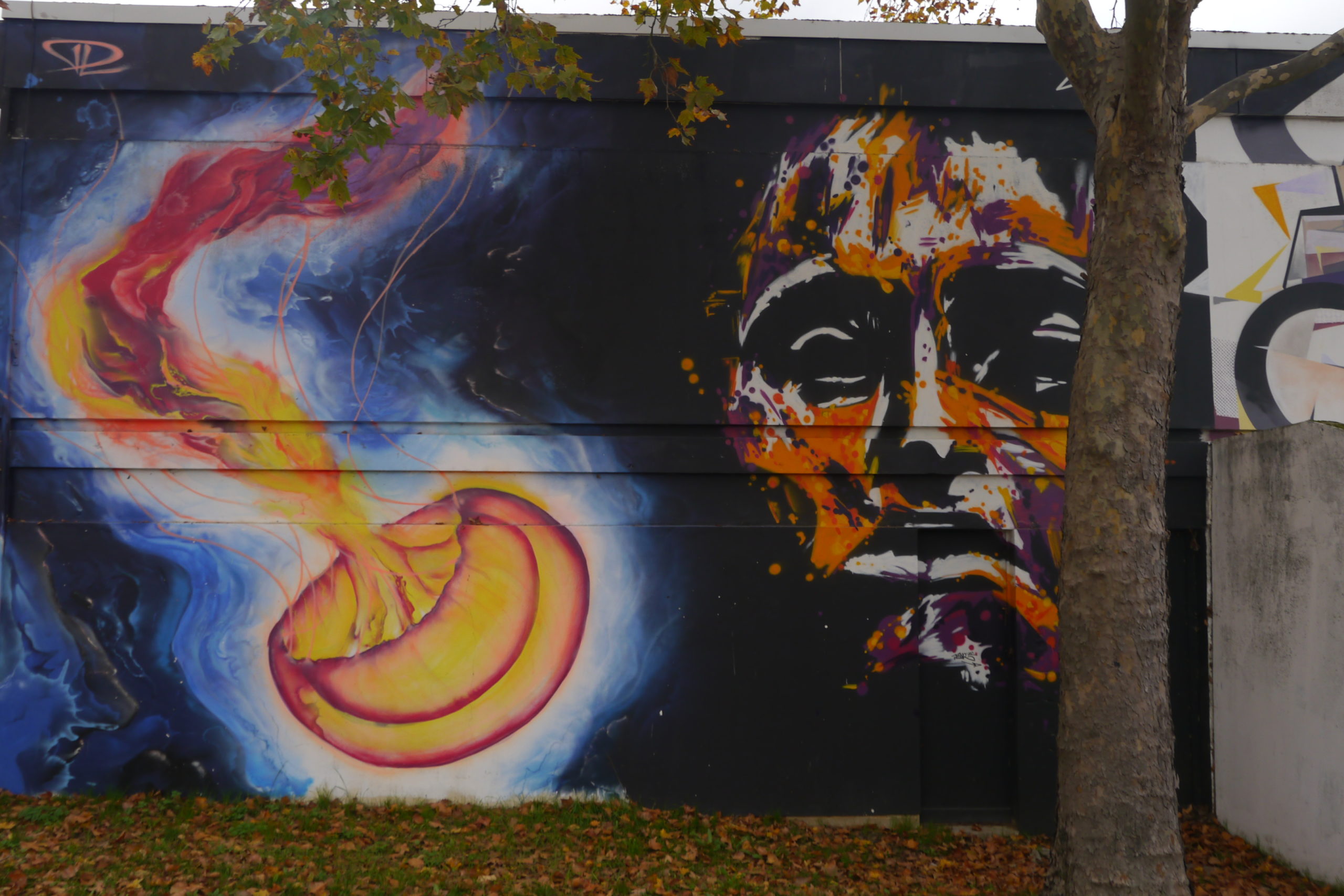 Borny : un quartier, plusieurs visages