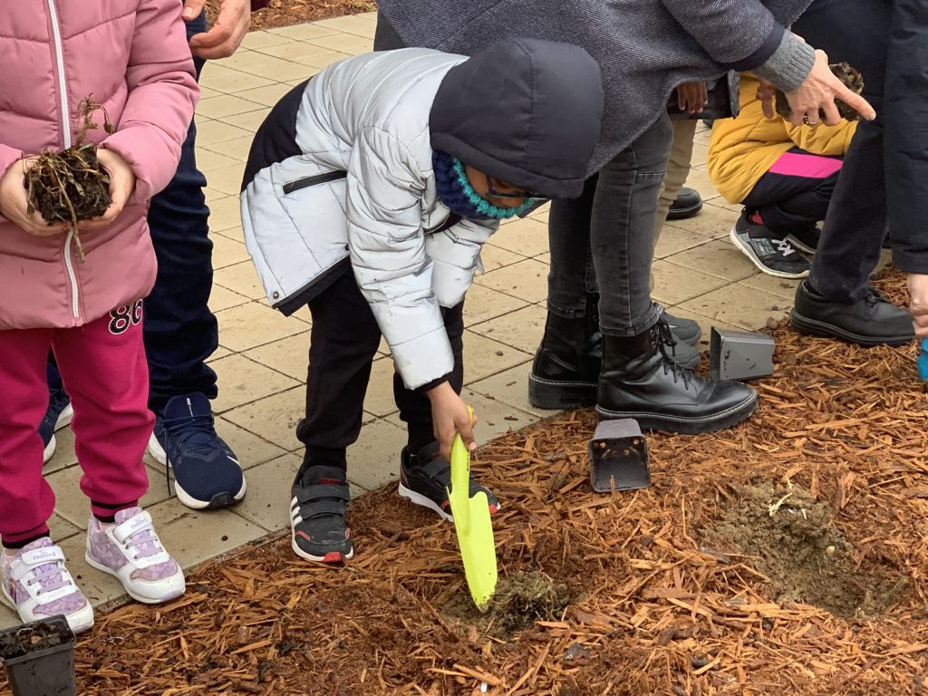 Un enfant de Metz Borny végétalise le Parc du Roussillon