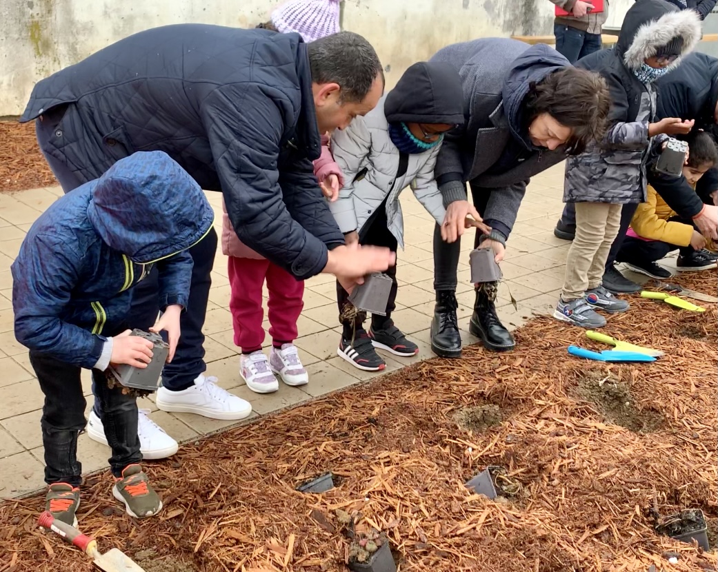 De la verdure dans la rue du Roussillon avec les écoles Les Mirabelles et Maurice Barrès.
